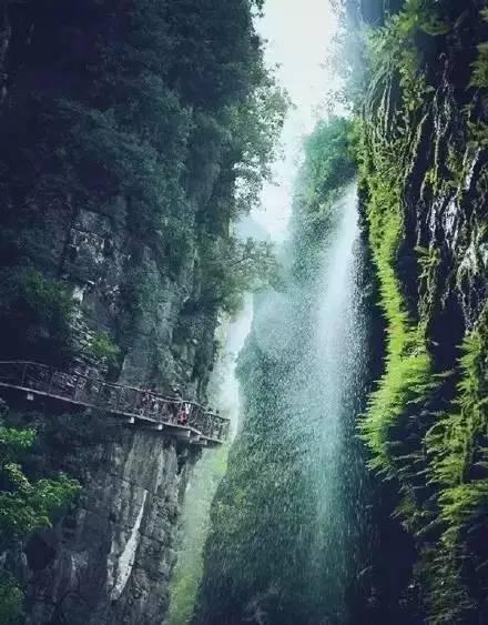 双点医院